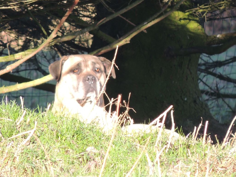 Fidgi de l'Empire Maya